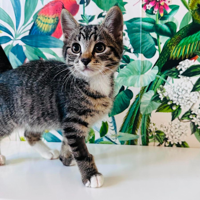 Photo of Miguel   Located In Preston 