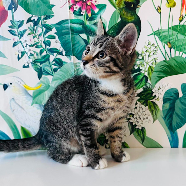Photo of Miguel   Located In Preston 
