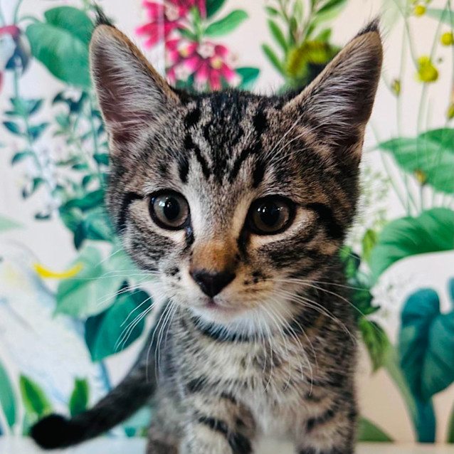 Photo of Miguel   Located In Preston 