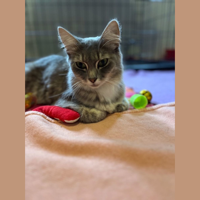 Photo of Grace   Located In Preston 