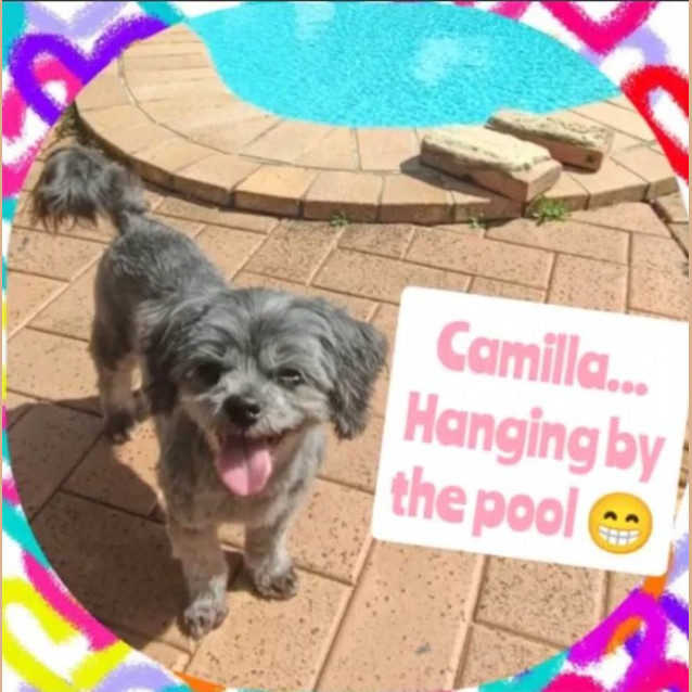 Photo of Camila And Toby