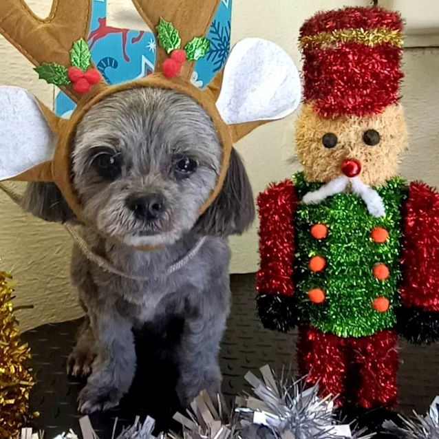 Photo of Camila And Toby