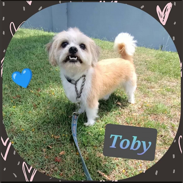 Photo of Camila And Toby