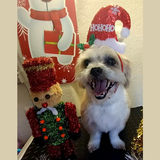 Photo of Camila And Toby