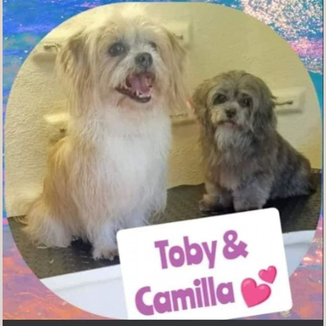 Photo of Camila And Toby