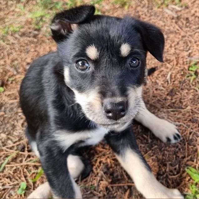 Photo of Bindi