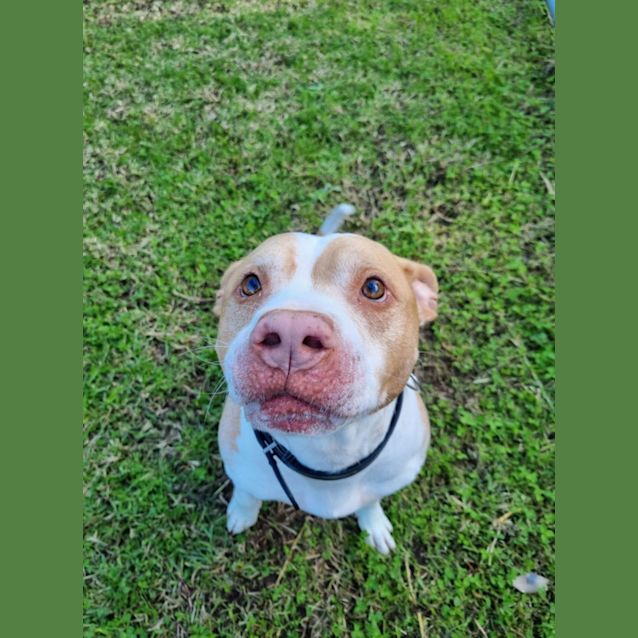 Photo of Judge