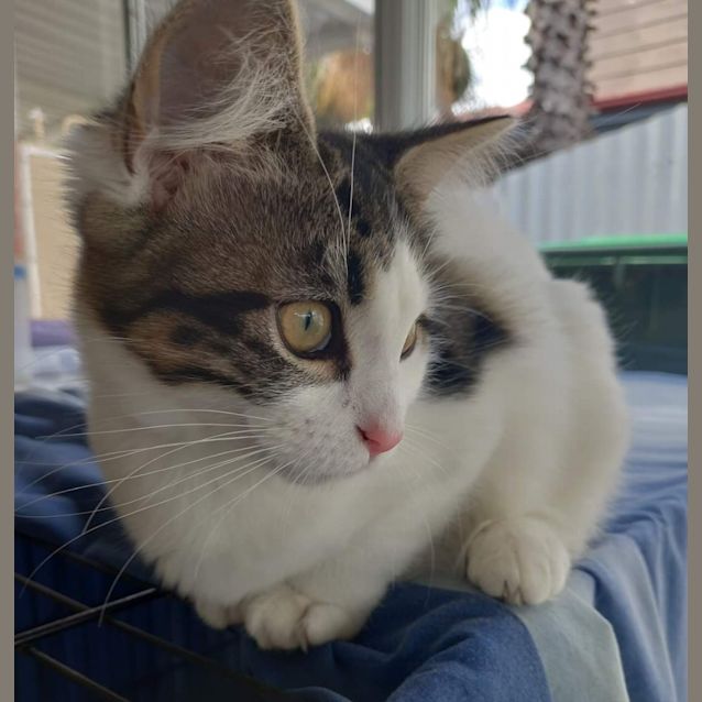 Photo of Ghost