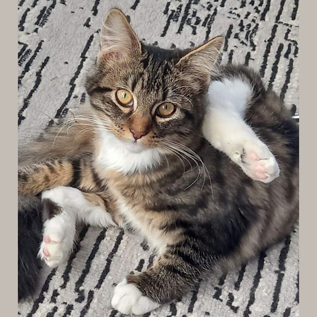 Photo of Spin