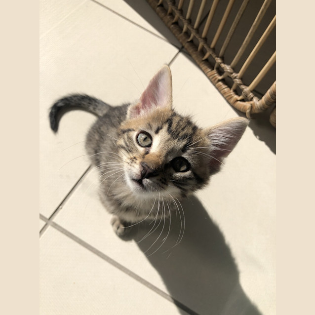 Photo of Theo