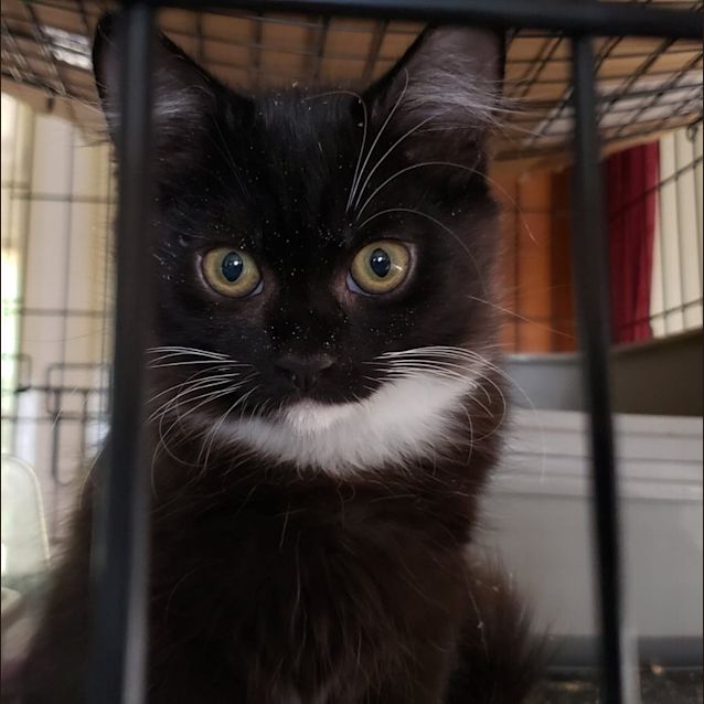 Photo of Octavia Piano Toes