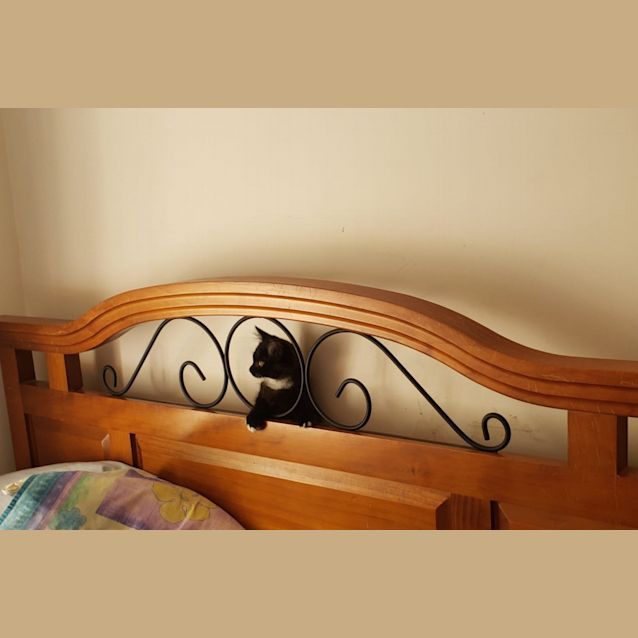 Photo of Octavia Piano Toes