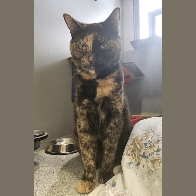 Photo of Diana Prince 