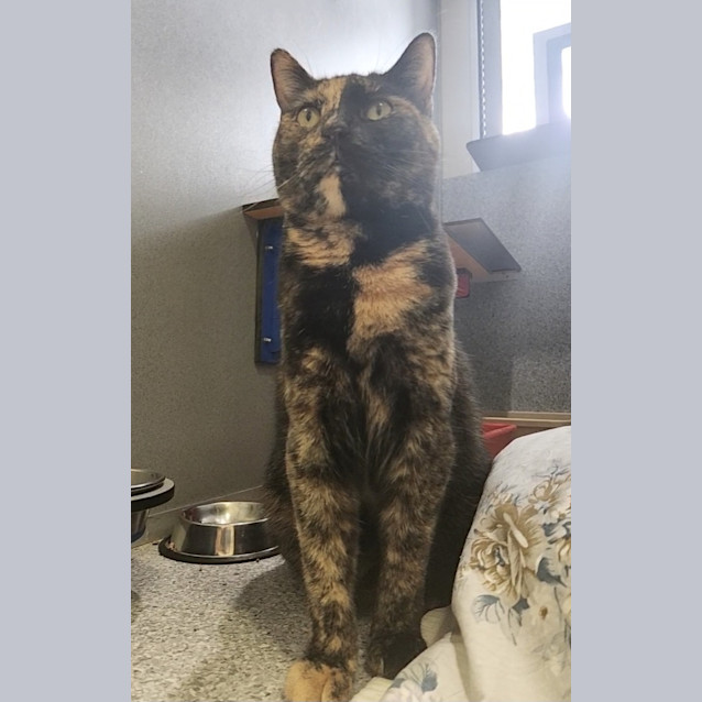 Photo of Diana Prince 