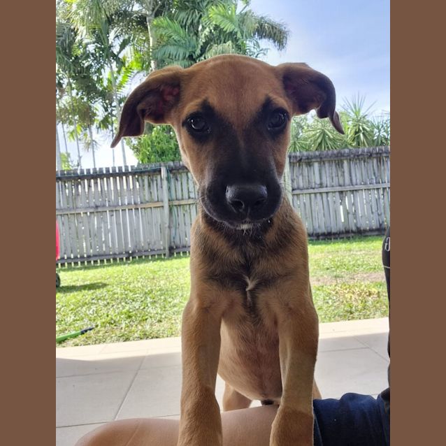 Photo of Titan