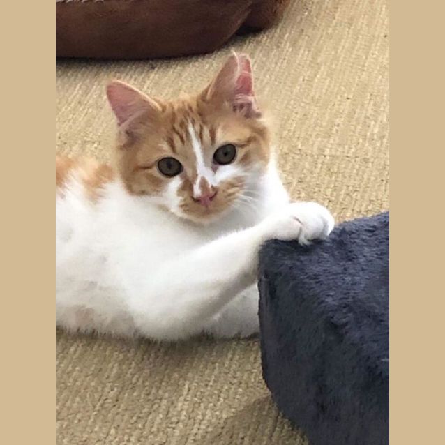 Photo of Matilda