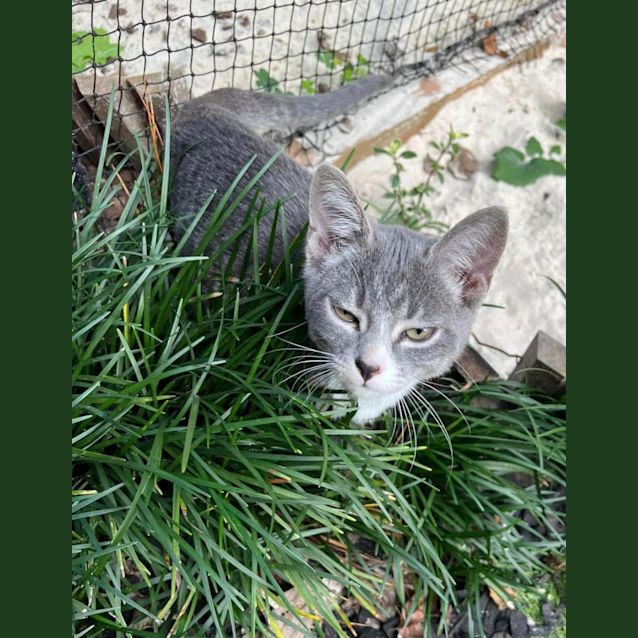 Photo of Cleo