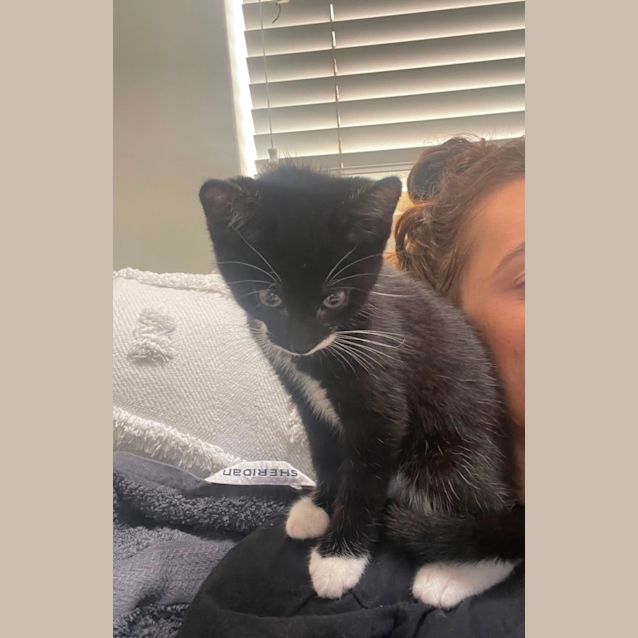 Photo of Sir Reginald 