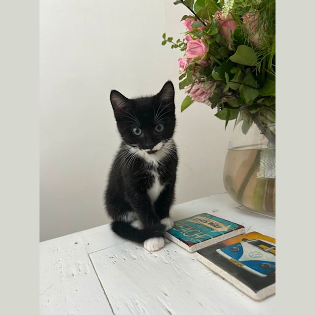 Photo of Sir Reginald 