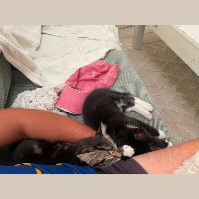 Photo of Sir Reginald 