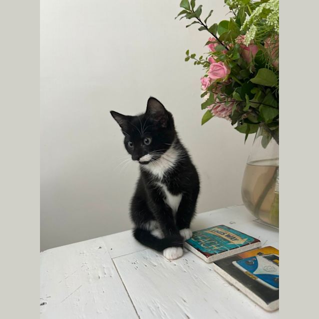 Photo of Sir Reginald 