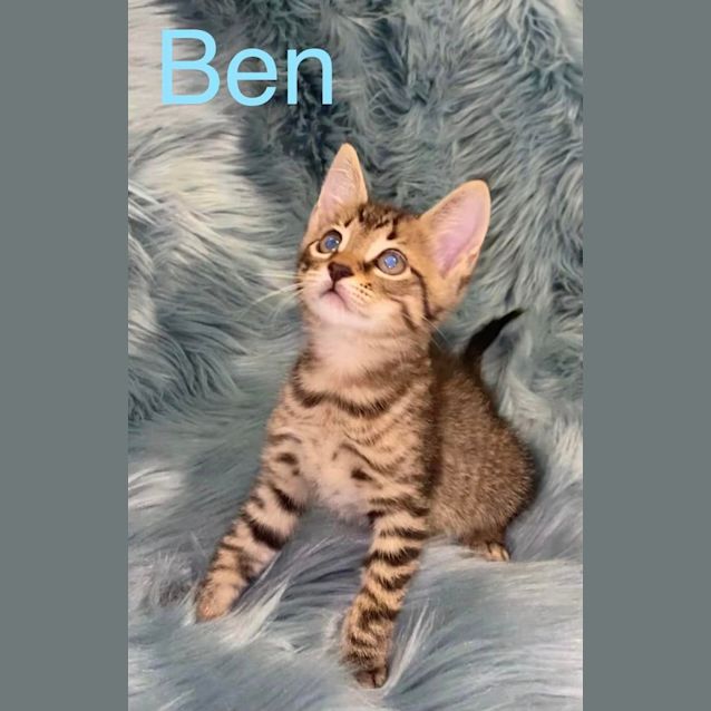 Photo of Ben