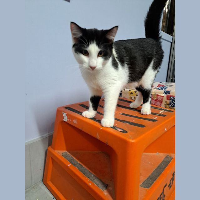 Photo of Merry