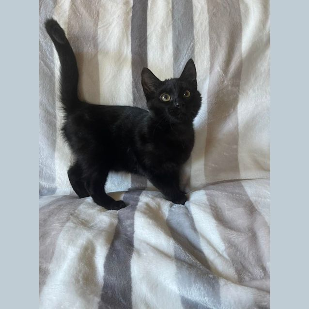 Photo of Murphy