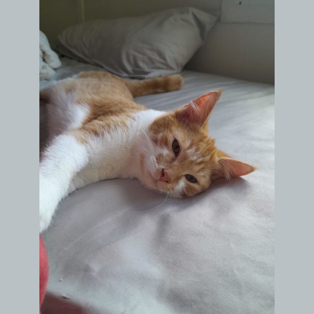Photo of George