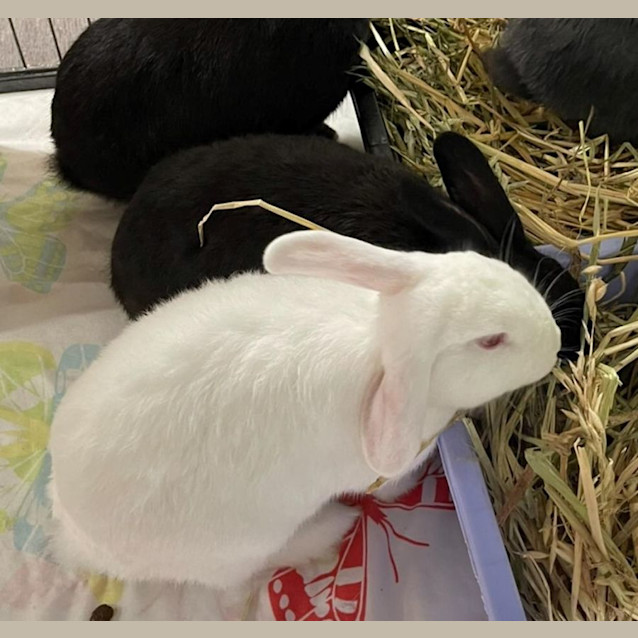 Photo of Cindy & Spud