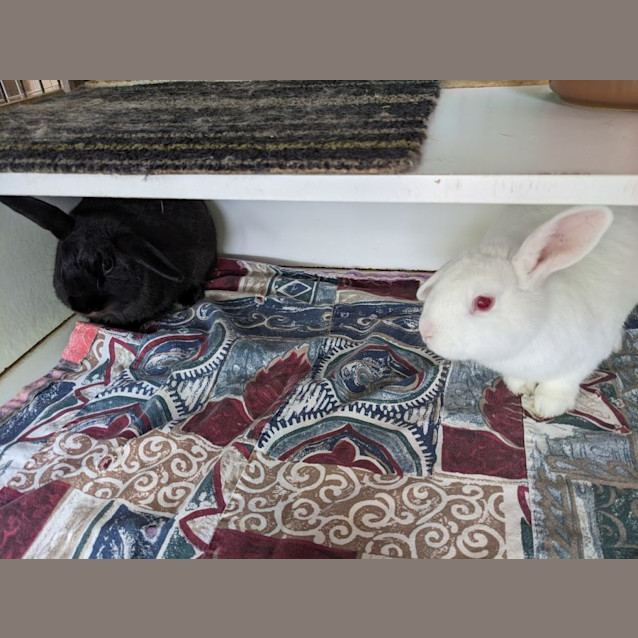 Photo of Cindy & Spud