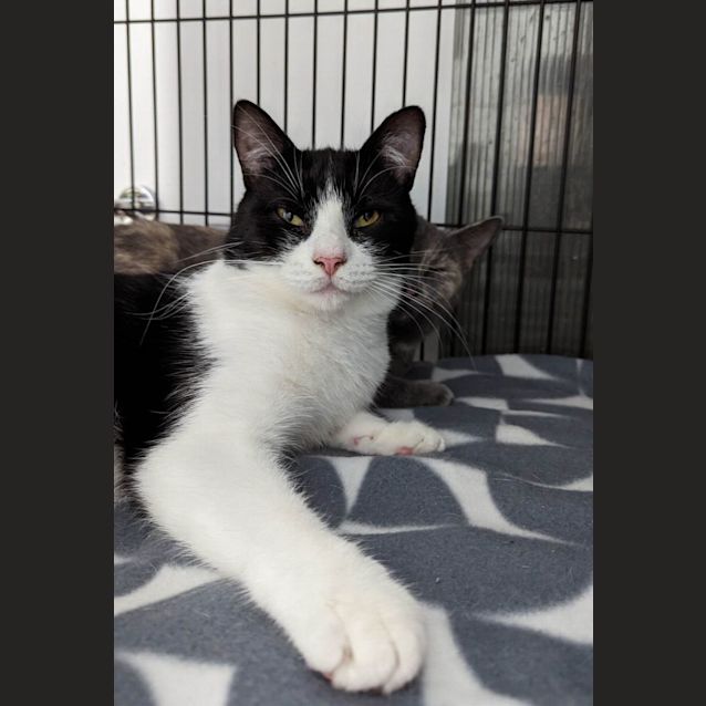 Photo of Bruno & Felicity