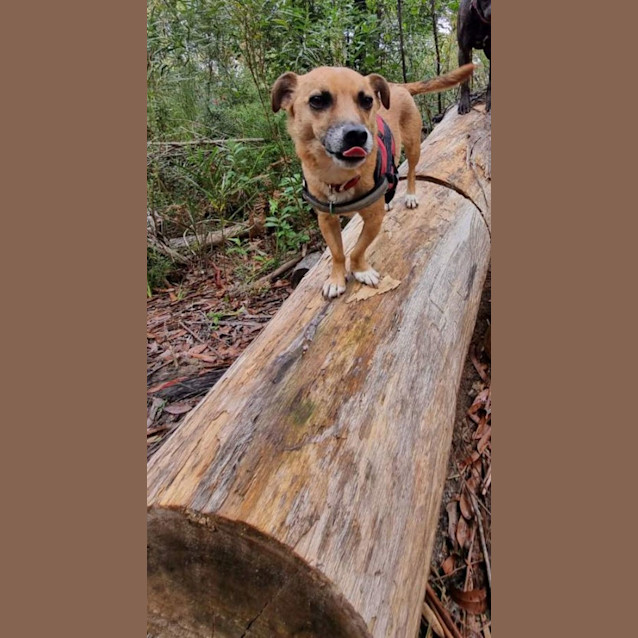 Photo of Paddy Patterson