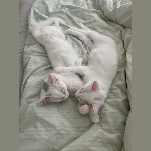 Photo of Martha And Matilda