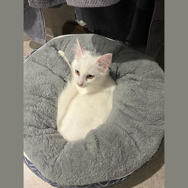 Photo of Martha And Matilda