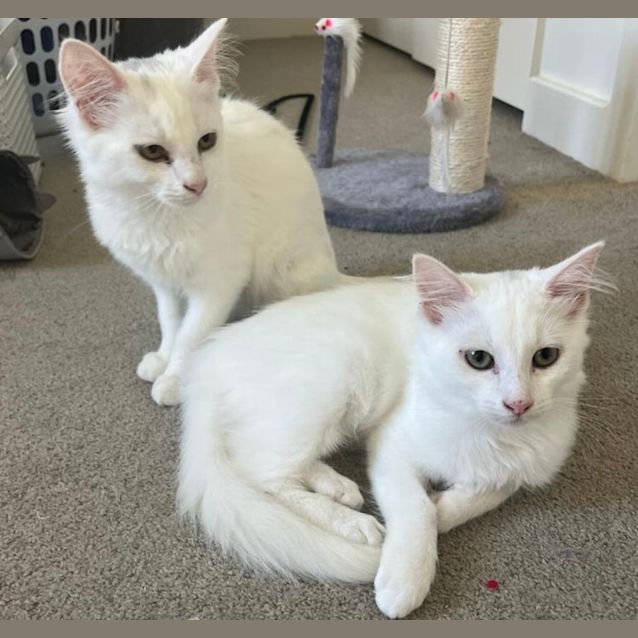 Photo of Martha And Matilda