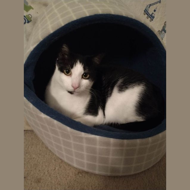 Photo of Kiara And Coco