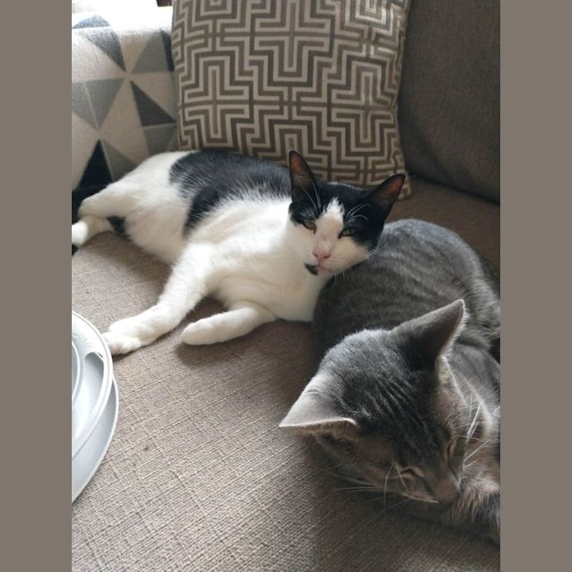 Photo of Kiara And Coco