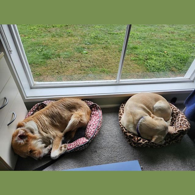 Photo of Zara (Now Maggie)
