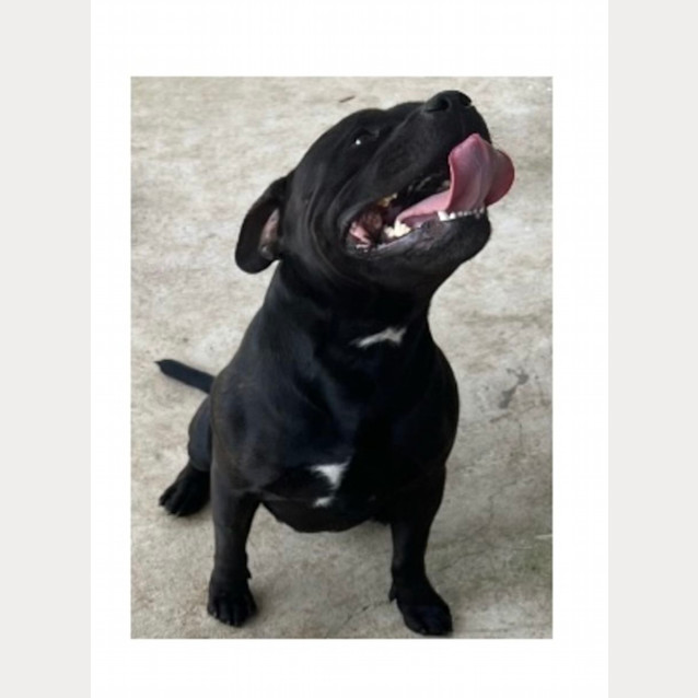 Photo of Diva & Diesel 