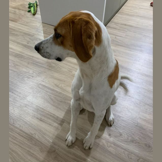 Photo of Barney
