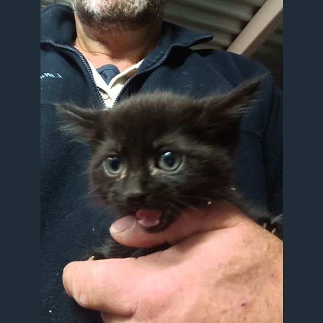 Photo of Jet