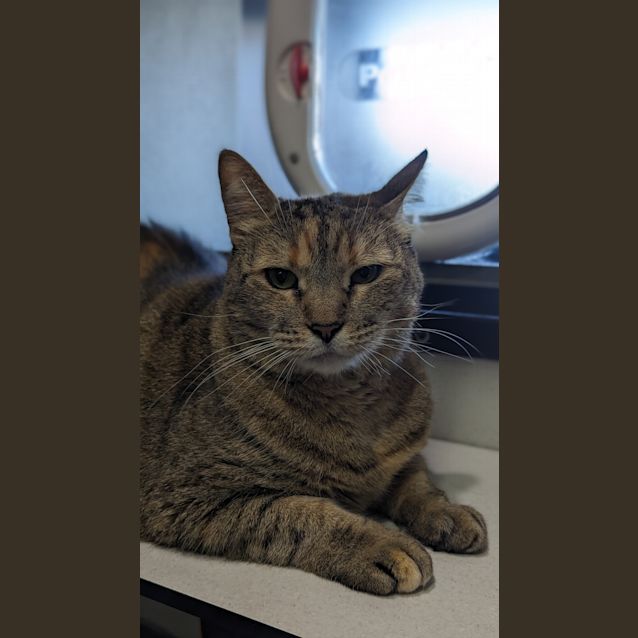 Photo of Ruby
