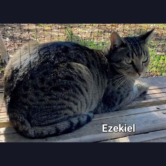 Photo of Ezeikiel