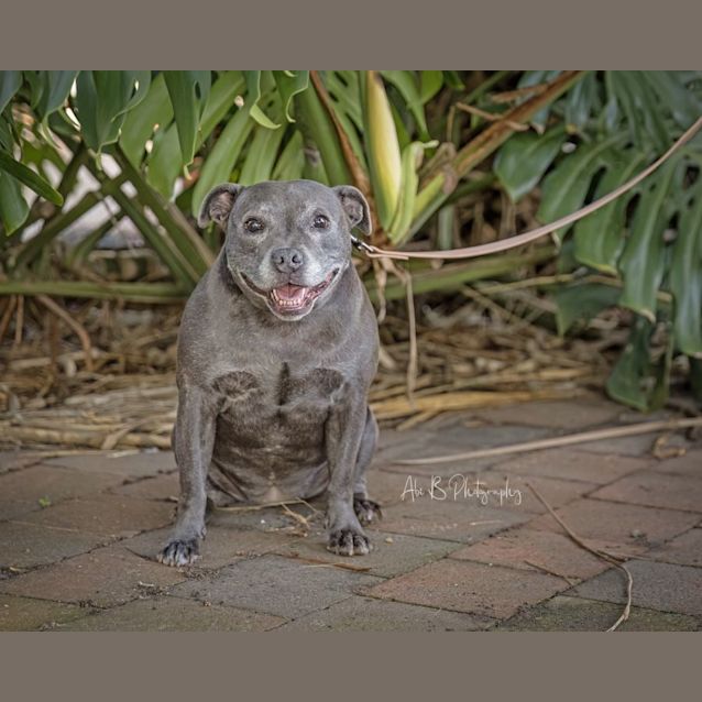 Photo of Nellie