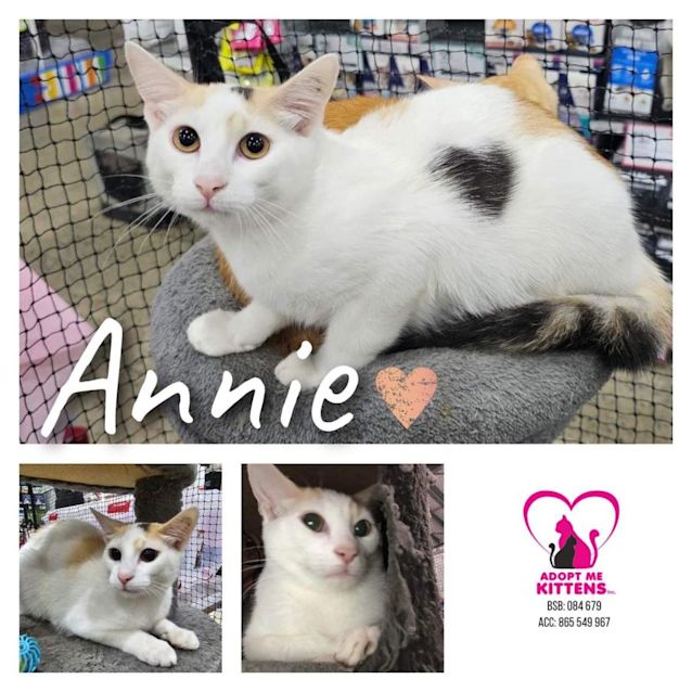 Photo of Annie