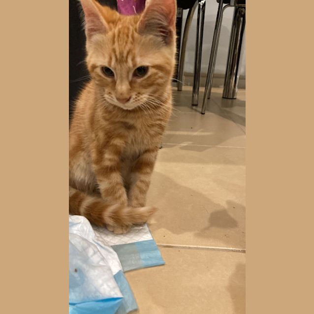 Photo of Ed