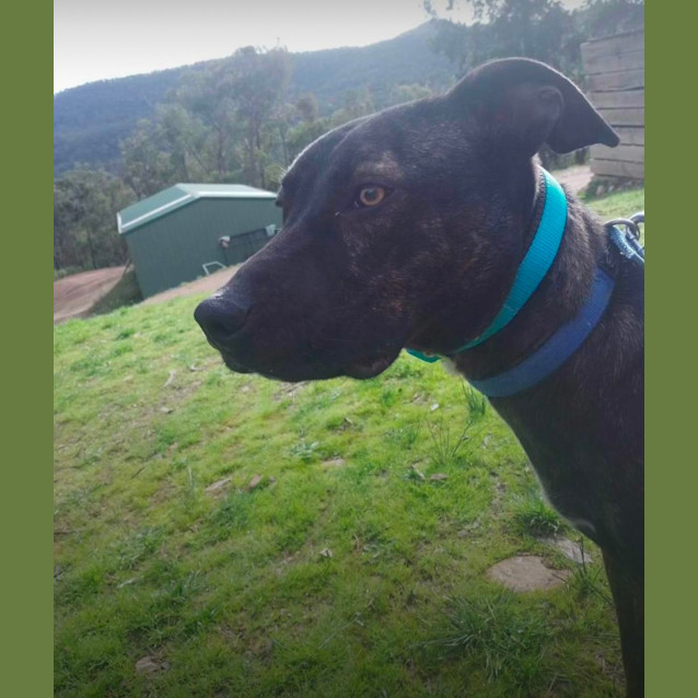 Photo of Zeus