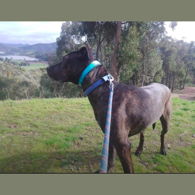 Photo of Zeus