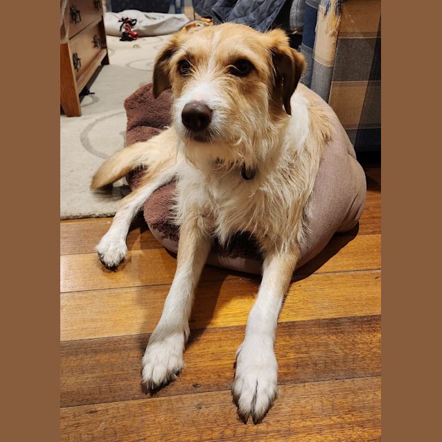Photo of Zara (Now Maggie)